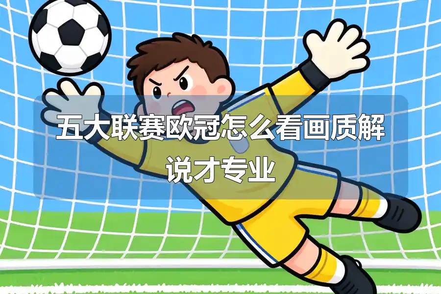 五大联赛欧冠怎么看画质解说才专业